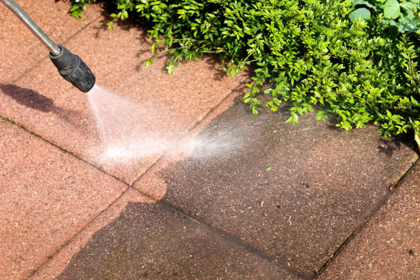 Deck Cleaning Services in Dade City, FL